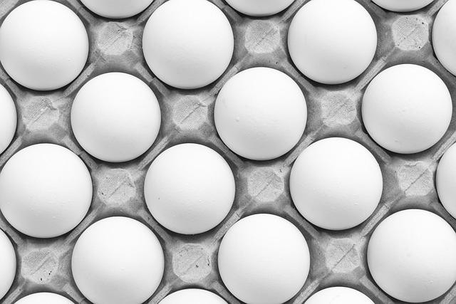 Impact of Imports on Domestic Egg Prices and Consumer Access