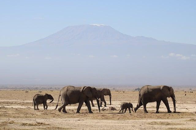 Kenya's Economic Challenges Prompt Urgent Need for New IMF Agreement