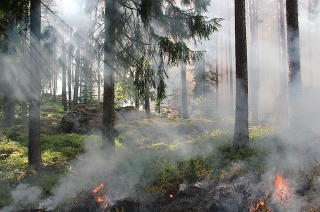 Impact of Wildfire Smoke on Public Health in brasília