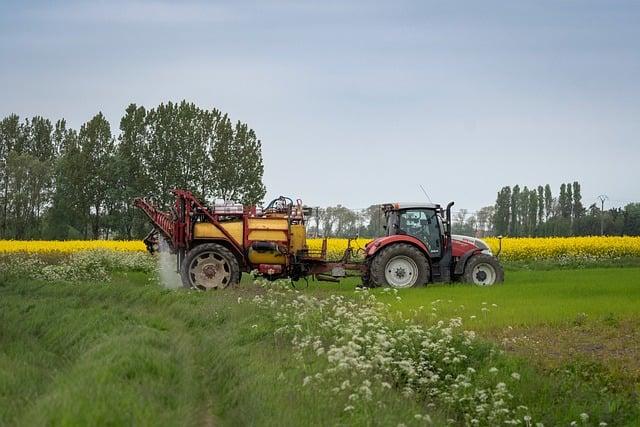 Capturing the Beauty of ⁢rapeseed Flowers: ⁤Best Photography Tips