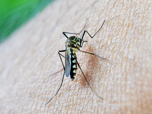 Understanding the Science Behind the World’s First Malaria Vaccine