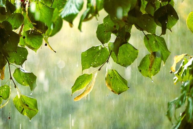 Health Risks Associated with Flooding and contaminated Water