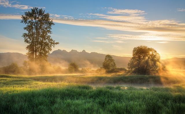 Visual Splendor and Photographic Opportunities for nature enthusiasts