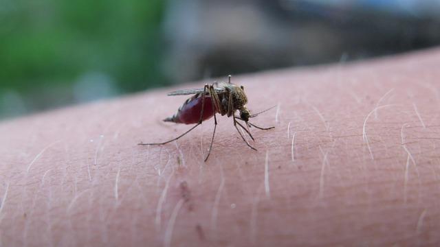 Innovative solutions and Technologies on the Horizon for Malaria Control