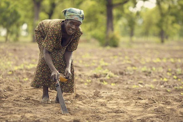 Ghana⁣ steps‍ up ⁣efforts to mend regional ties with Sahel ‌alliance‌ appointment - RFI ⁢English