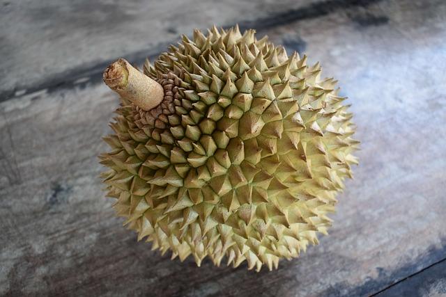 Health‌ Benefits of Durians: Why This Fruit is Gaining Popularity