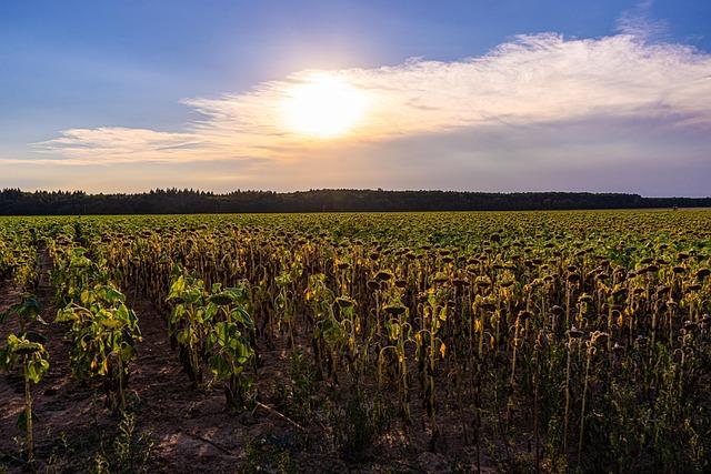 Understanding the⁢ Health ​Risks Associated with‍ Rising Temperatures