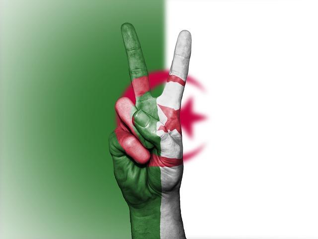 Exploring the Strategic Implications of Sinopec's Visit‌ to Algeria