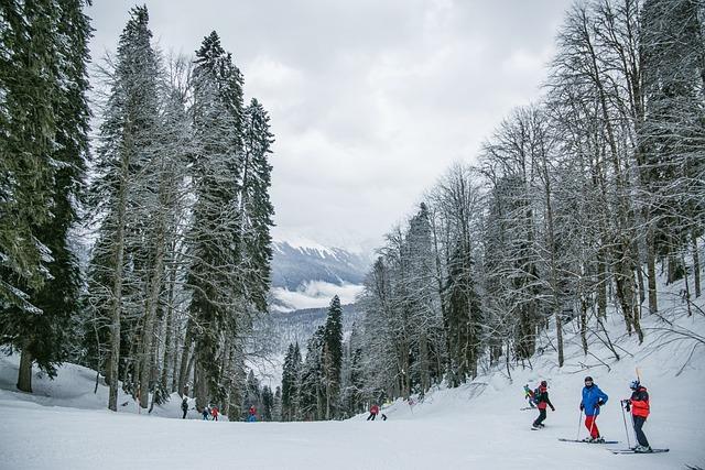 Expert Tips for First-Time skiers Attending the Festival