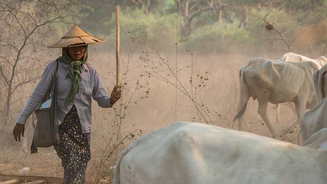 building Sustainable Partnerships in the International Food scene
