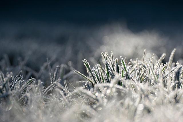 Cultural Heritage and Festivals: Enriching Harbin's Winter Experience