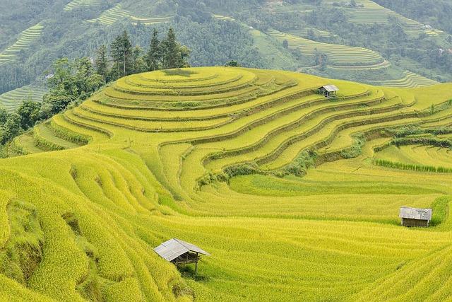 The Role of the Communist Party ‌in Shaping Vietnam's‍ Political Landscape