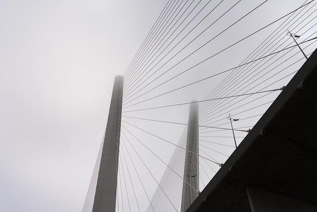 Environmental Considerations in the Construction of the Adyar Bridge