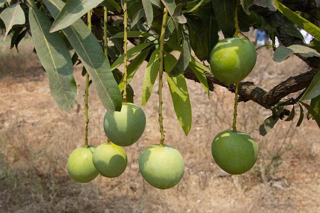 Innovative Practices in⁣ Waste Management: Learning‌ from Andhra Pradesh