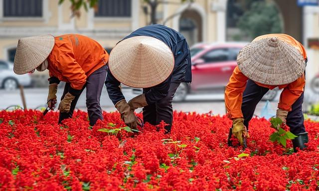 The Influence of History on Hanoi's Food Scene