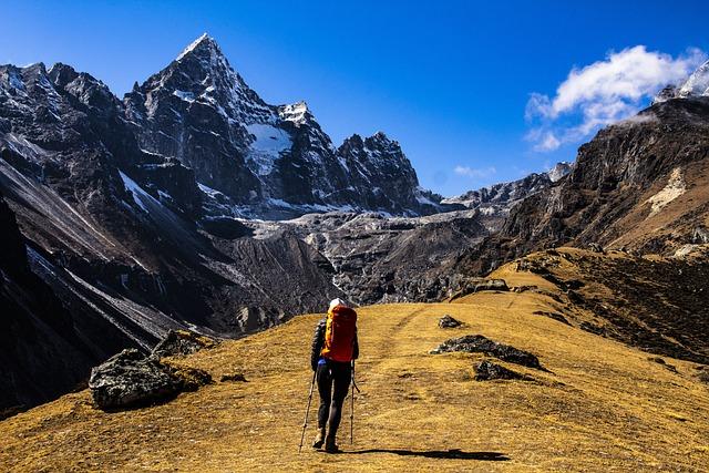 Insights into Everest's Growth Strategy and Future Plans