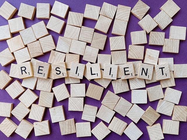 Promoting Economic Resilience to Counter‌ Geopolitical Threats