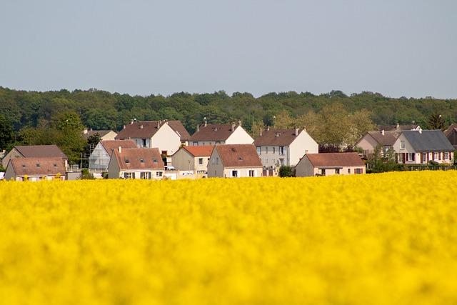 Chinese rapeseed meal, oil contracts surge after 100%⁢ tariffs on Canadian imports - Reuters.com