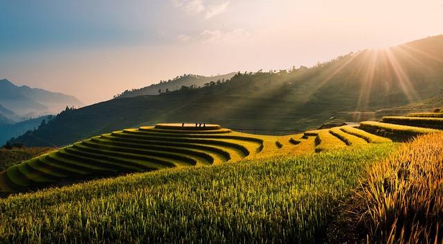 The evolving Landscape of Chongqing Through Tu ximeng’s Lens