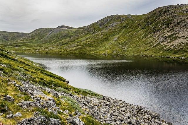 understanding⁣ the Causes and Effects of Ice Jams on River Ecosystems