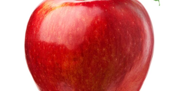 Apple CEO Tim Cook donates $4.1m to China’s top tech university – Tech in Asia