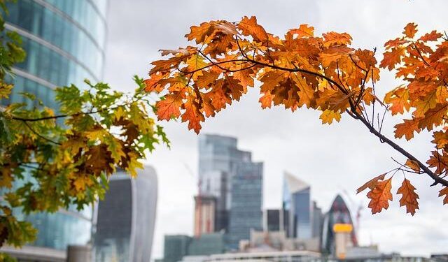 London Hotels Outpace Inflation With Strong US Visitor Spending In The UK And China Travel Landscape main headline – Travel And Tour World