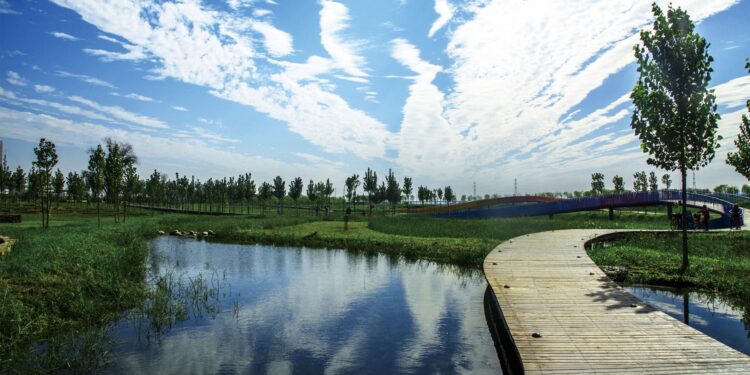 Wetland parks offer escape from heat in Harbin – China Daily