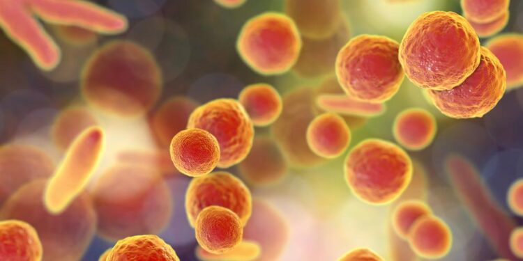 Epidemiological, clinical, and genotypic characteristics of pediatric Mycoplasma pneumoniae infections: an 8-year survey in Suzhou, China in the pre- and post-COVID-19 eras – Frontiers