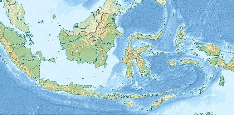 Indonesia weighs US arms purchases to curb tariff threat, Bloomberg reports – The Jakarta Post
