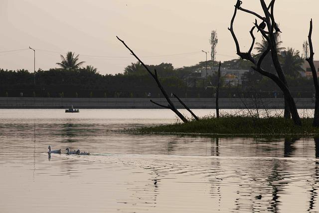 ₹25L in India, $100K in the US or tax-free Dubai? Bengaluru techie breaks down where life’s better – Business Today