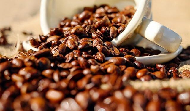 Stop and smell the coffee beans at Bluma, outside Buenos Aires – The Spaces