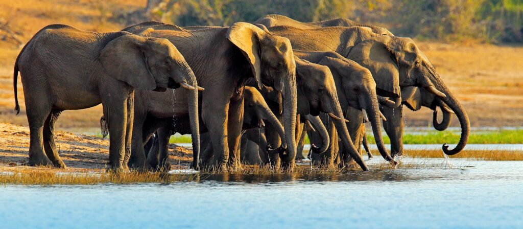 We Are Africa 2025 – Breaking Travel News
