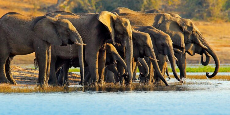 We Are Africa 2025 – Breaking Travel News