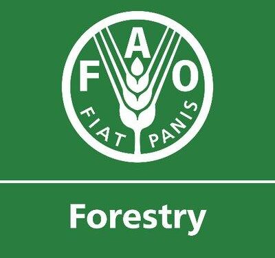 FAO Opens 14th Regional Mgt Meeting In Accra – DailyGuide Network
