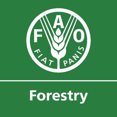 FAO Opens 14th Regional Mgt Meeting In Accra – DailyGuide Network