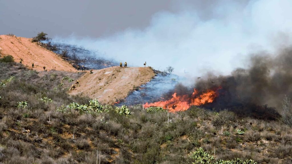 A wildfire closes main highway linking Tel Aviv to Jerusalem and sends 12 people to the hospital – Washington Times