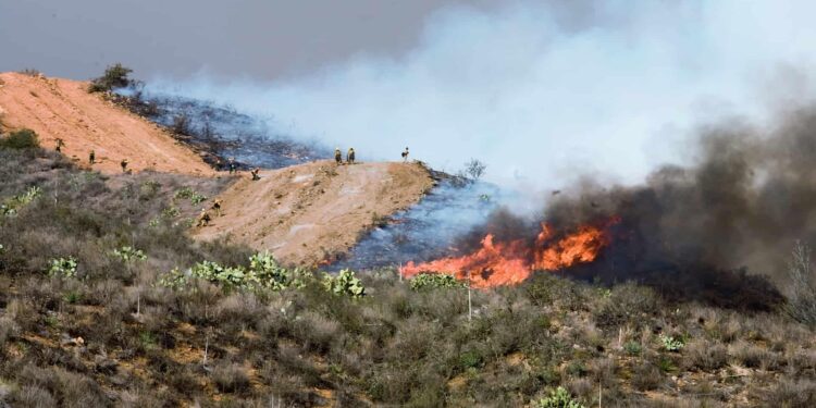A wildfire closes main highway linking Tel Aviv to Jerusalem and sends 12 people to the hospital – Washington Times