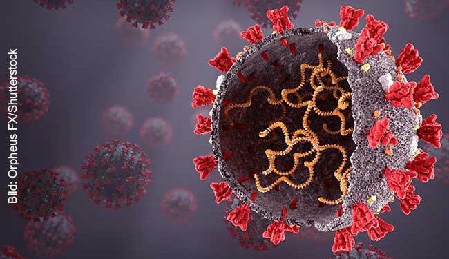 SARS-CoV-2 surveillance in captive animals at the belo horizonte zoo, Minas Gerais, Brazil – Virology Journal