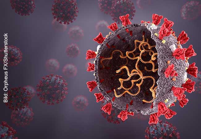 SARS-CoV-2 surveillance in captive animals at the belo horizonte zoo, Minas Gerais, Brazil – Virology Journal