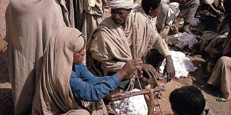 National Movement of Amhara Navigates Regional Conflict Amidst Internal and External Pressures – Borkena
