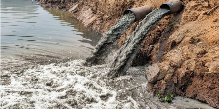 Mysterious Congo outbreak likely linked to contaminated water, researchers say – Science | AAAS