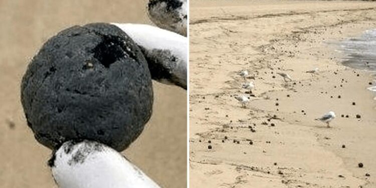 Mysterious ball-shaped debris prompts closure of nine Sydney beaches – CNN