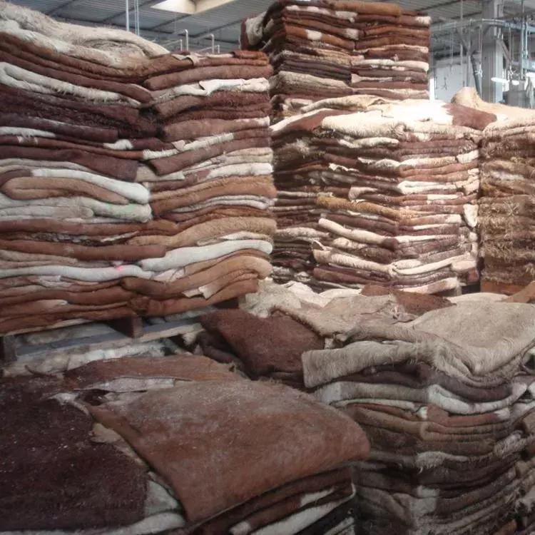 Pakistan foils bid to smuggle donkey hides worth Rs80 million to China – Arab News PK