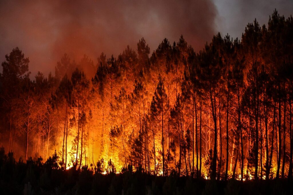 Major emergency in Israel as wildfires rage near Tel Aviv and Jerusalem – thenationalnews.com
