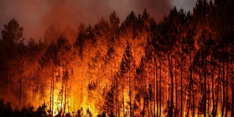Major emergency in Israel as wildfires rage near Tel Aviv and Jerusalem – thenationalnews.com