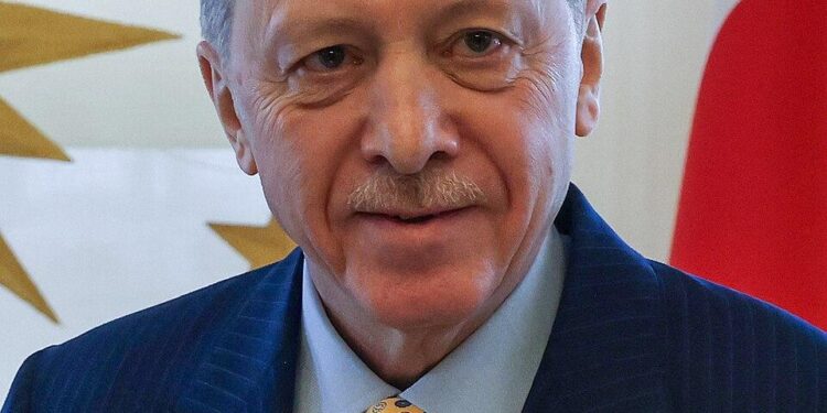 Erdoğan vows to make Türkiye global energy player – Hürriyet Daily News