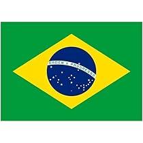 Brazil top court weighs whether Bolsonaro will stand trial – Reuters