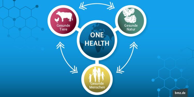 UH, Fukuoka join forces for One Health initiative – University of Hawaii System
