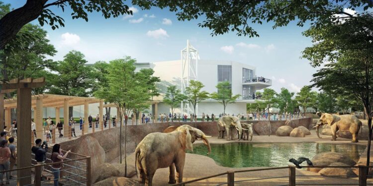 UPDATE: Zoo Atlanta’s 4 Giant Pandas arrive in Chengdu, China – Local 3 News