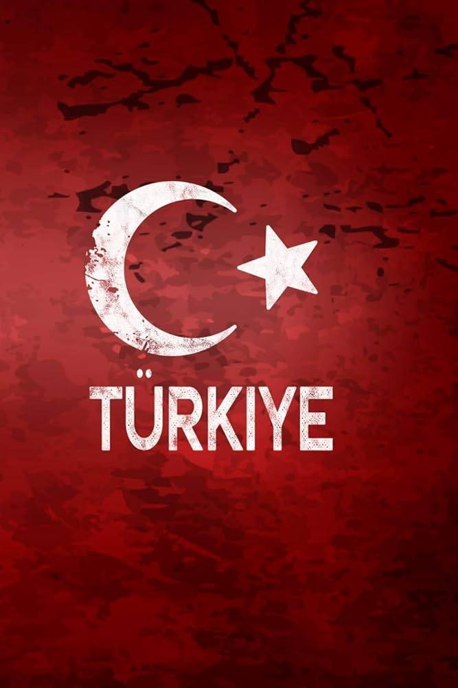 Türkiye: Unlawful and indiscriminate attacks on peaceful protesters must end and protest bans must be lifted immediately – Amnesty International
